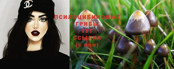 COCAINE Ельня