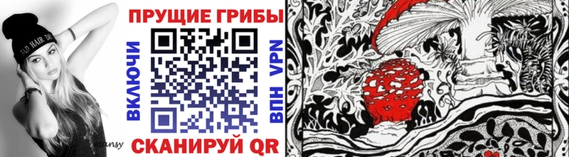 Купить где  Ишим  Псилоцибиновые грибы прущие грибы 